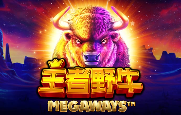 正版49图库