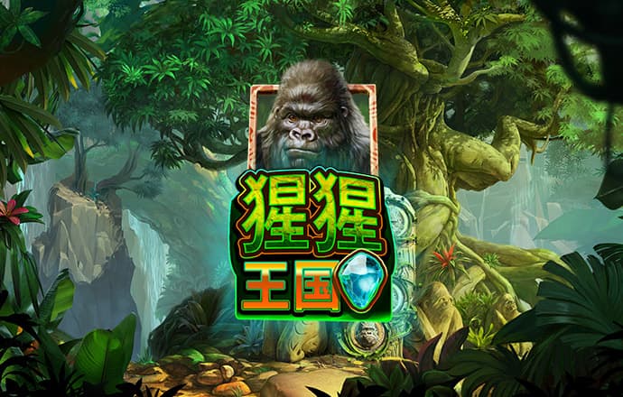 kok官方体育官网